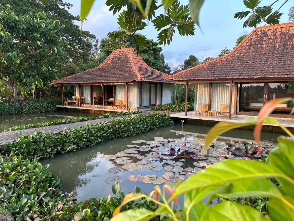 Griya Kcb Villa Ubud Buitenkant foto