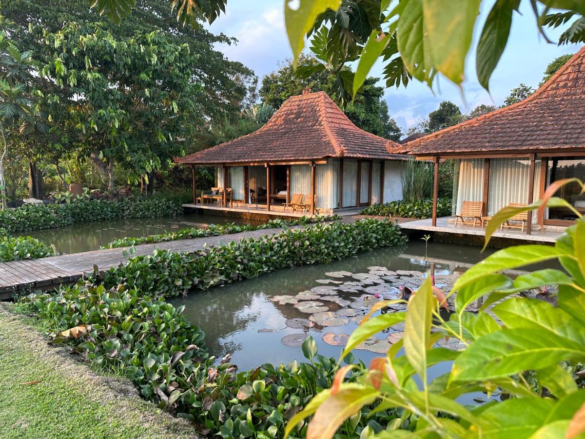 Griya Kcb Villa Ubud Buitenkant foto