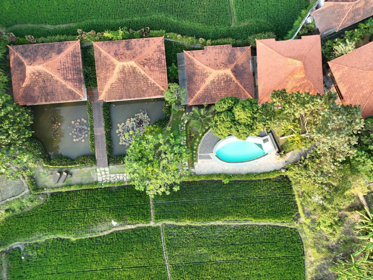 Griya Kcb Villa Ubud Buitenkant foto