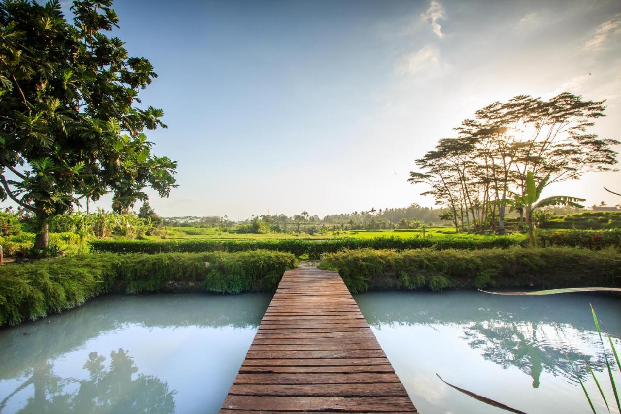 Griya Kcb Villa Ubud Buitenkant foto
