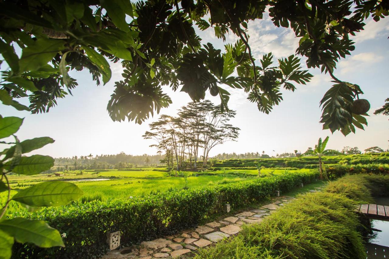 Griya Kcb Villa Ubud Buitenkant foto