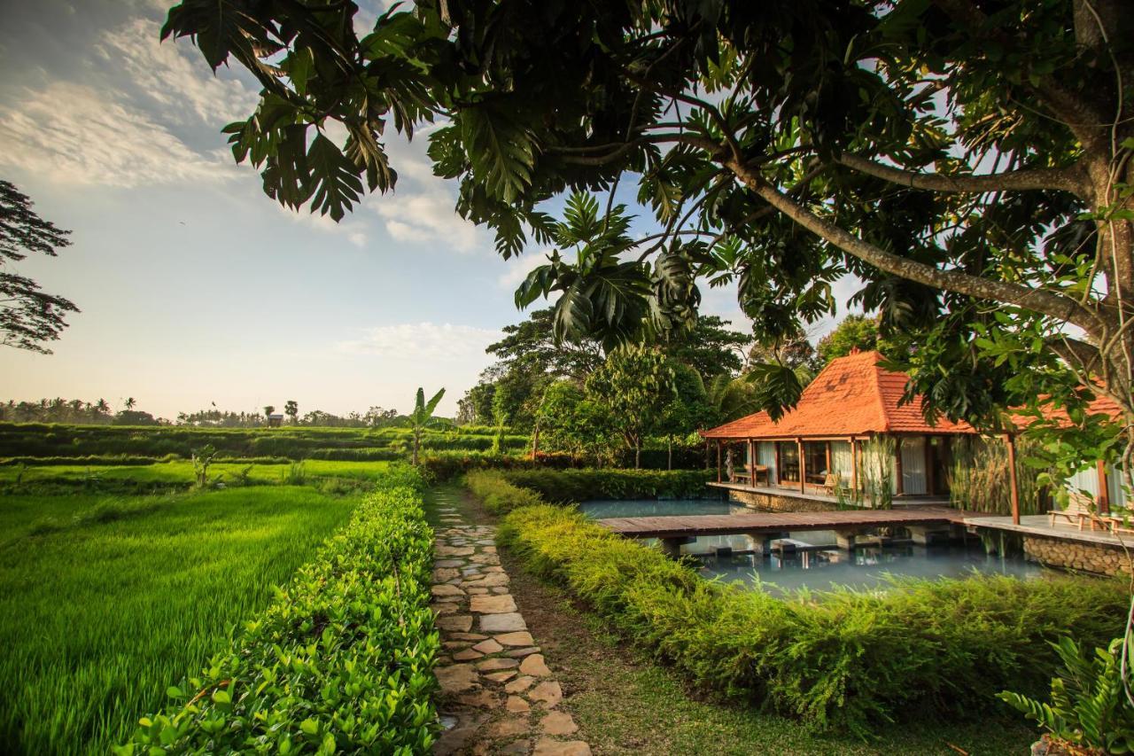 Griya Kcb Villa Ubud Buitenkant foto