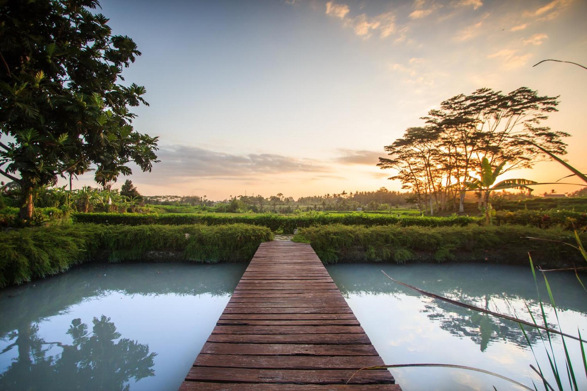 Griya Kcb Villa Ubud Buitenkant foto