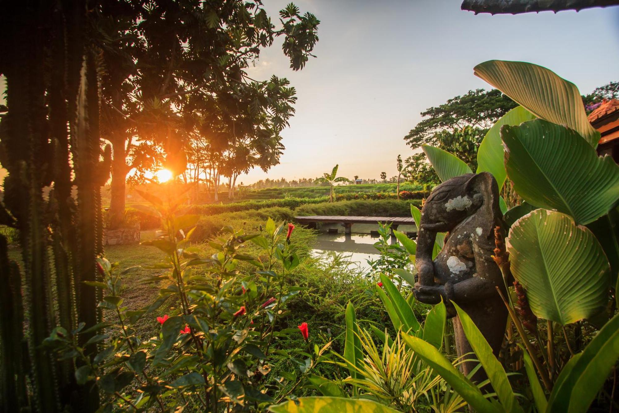 Griya Kcb Villa Ubud Buitenkant foto