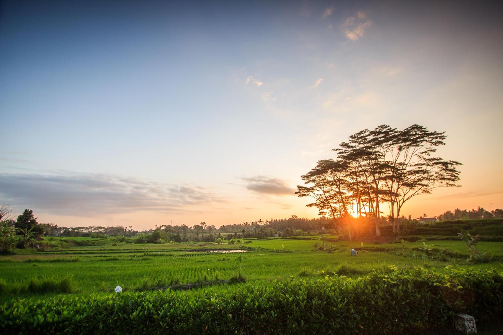 Griya Kcb Villa Ubud Buitenkant foto