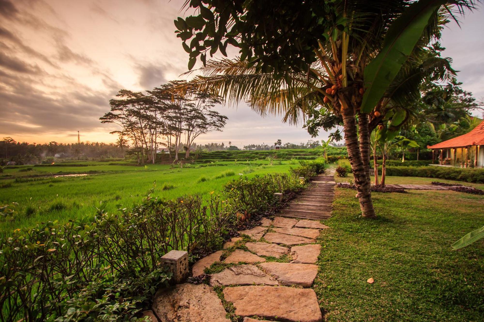 Griya Kcb Villa Ubud Buitenkant foto
