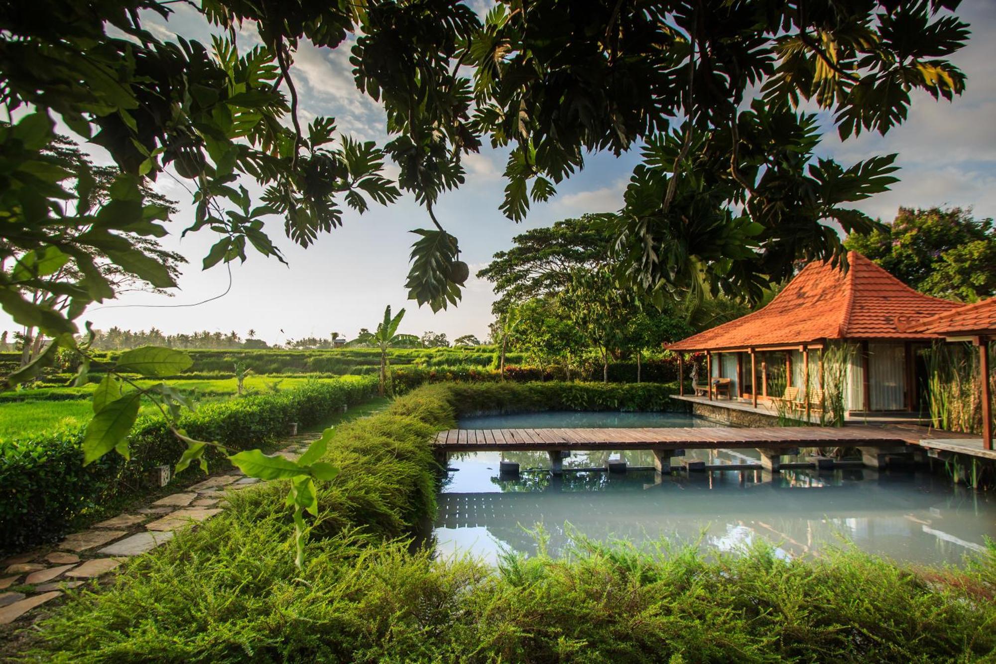 Griya Kcb Villa Ubud Buitenkant foto